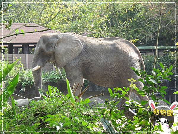 動物園IMG_8121.JPG