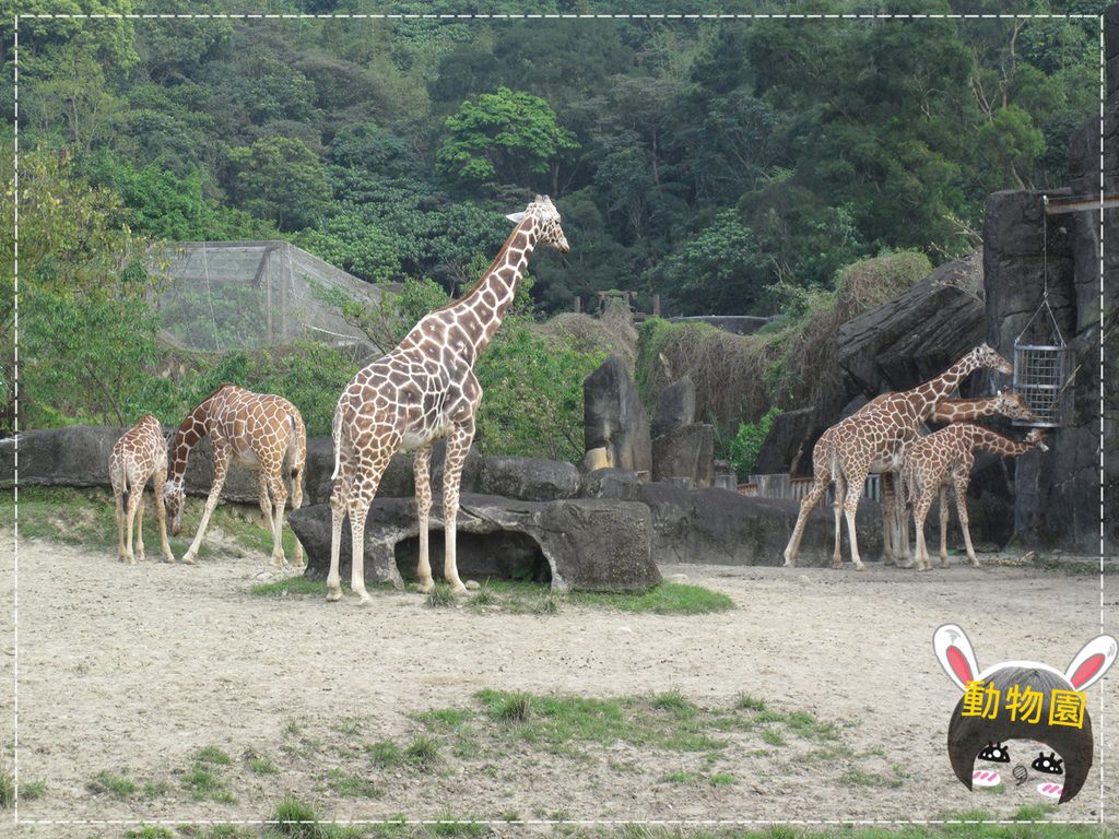 動物園IMG_8143.JPG