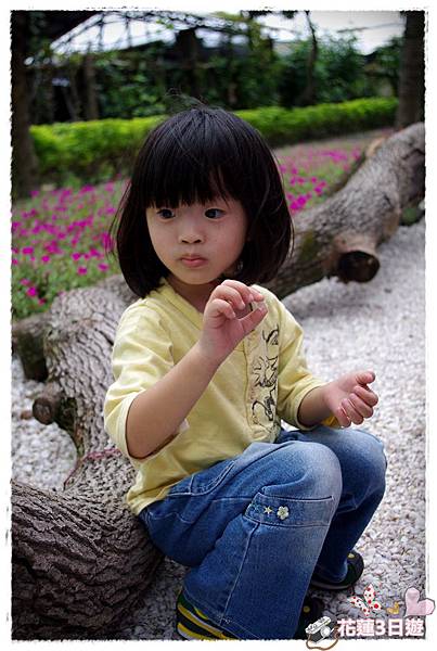 花蓮3日遊之DAY1-IMGP3949.JPG