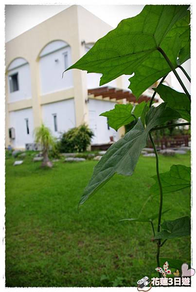 花蓮3日遊之DAY3-IMGP4444.JPG