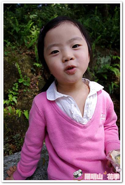 陽明山花季IMGP7120