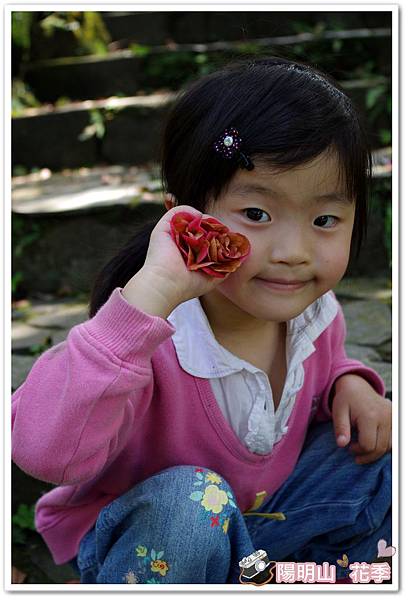 陽明山花季IMGP7180