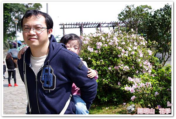 陽明山花季IMGP7228
