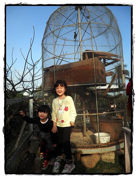 兔子P2270109 20110227.JPG