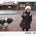 宜蘭相調IMG_6763-20110109.JPG
