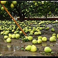 IMG_1632.jpg