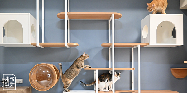 資產 8.png 資產 8.png