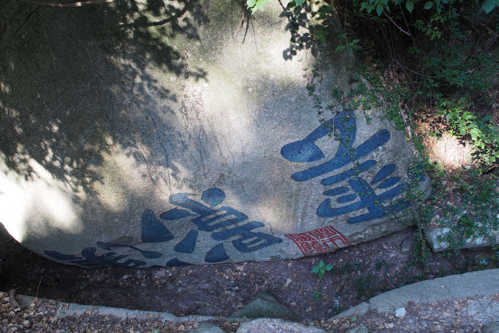 P7200131.jpg P7200131.jpg