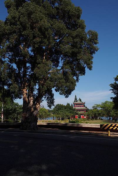 P7200118.jpg P7200118.jpg