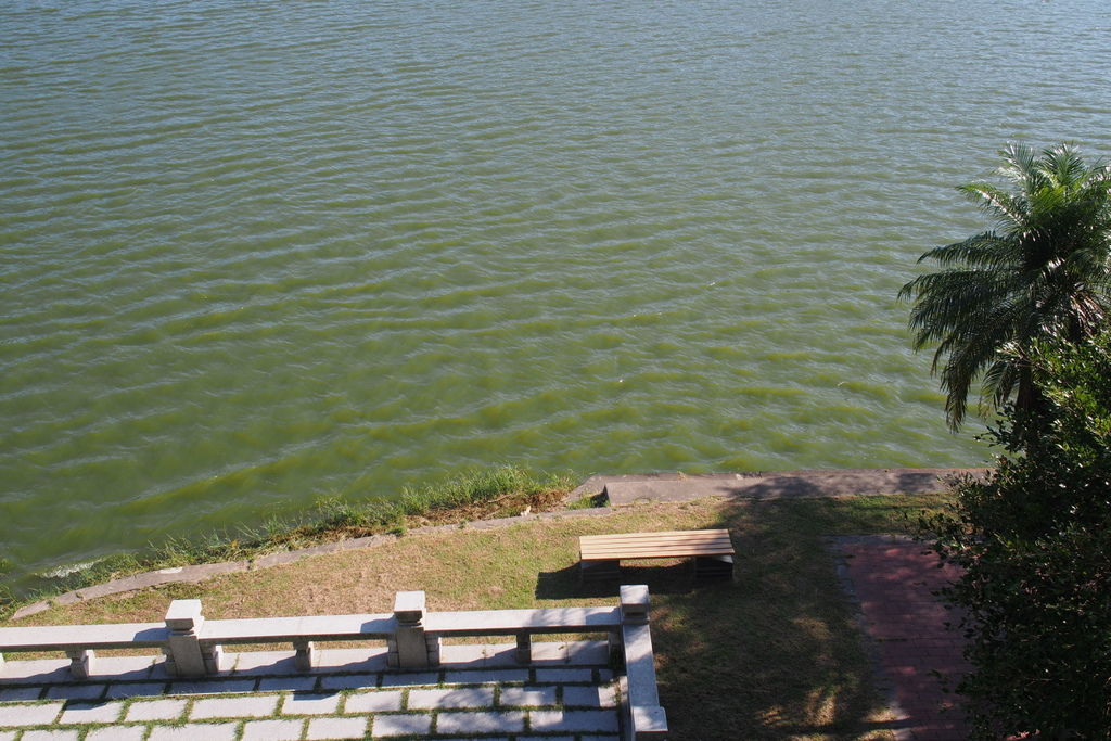 P7200114.jpg P7200114.jpg