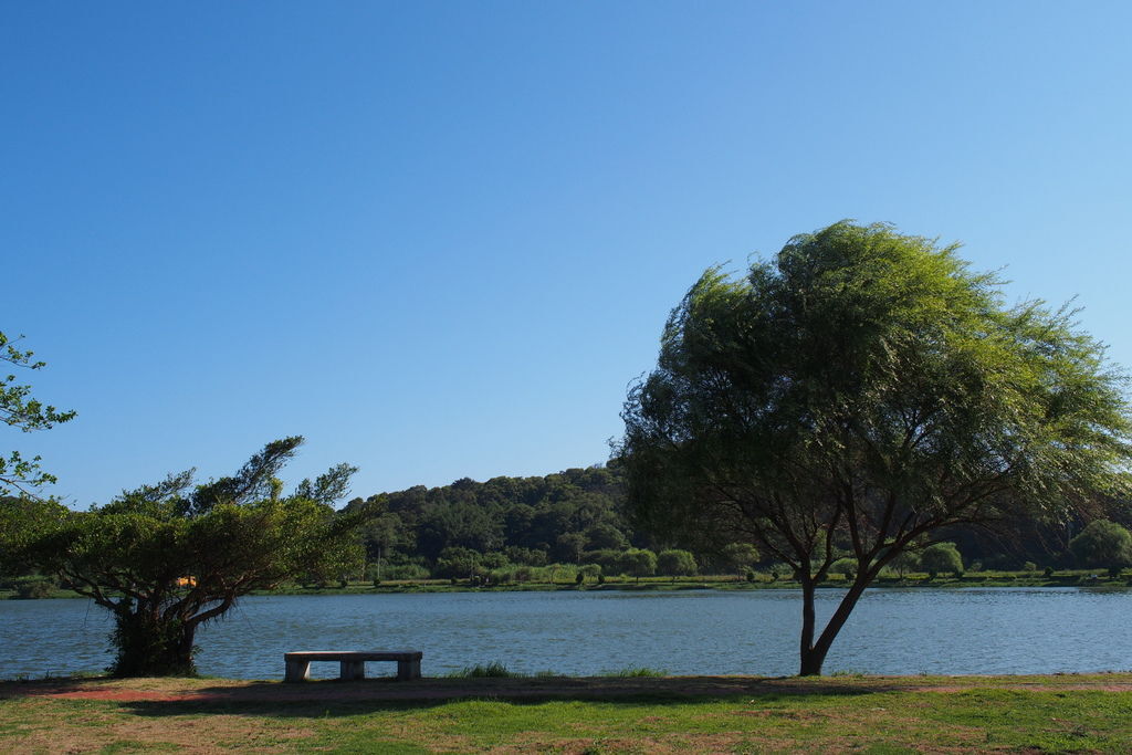 P7200110.jpg P7200110.jpg