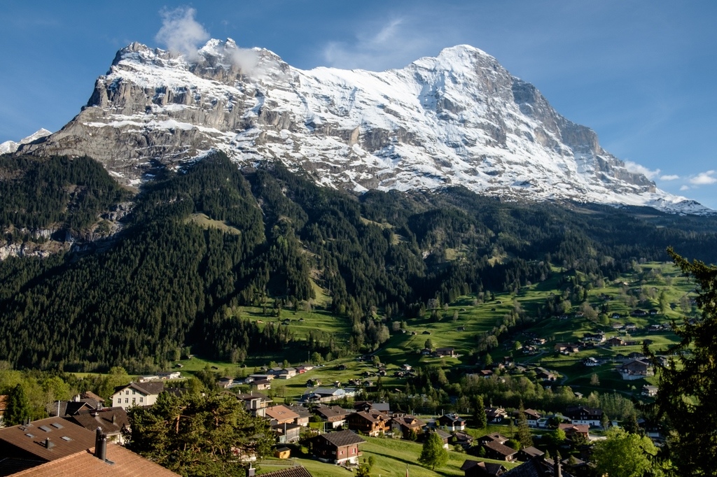 DSCF1008.jpg DSCF1008.jpg