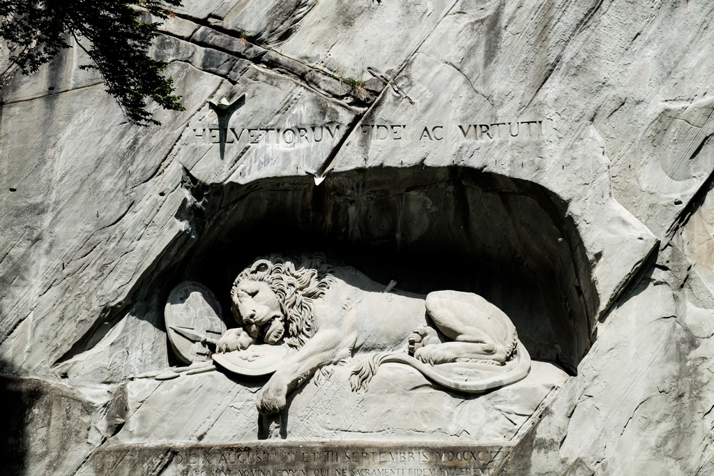 DSCF1442.jpg DSCF1442.jpg