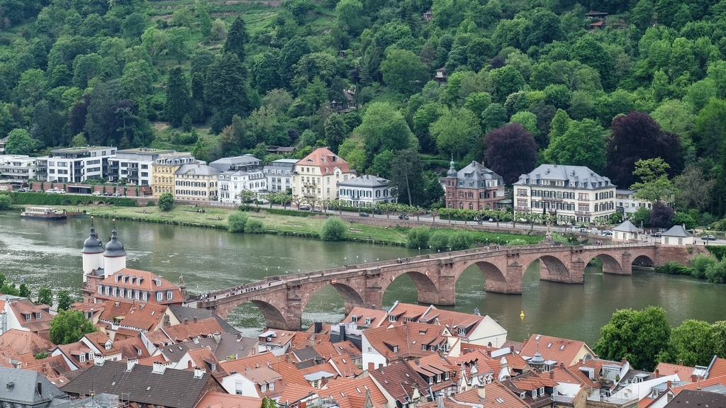 DSCF0348.jpg DSCF0348.jpg