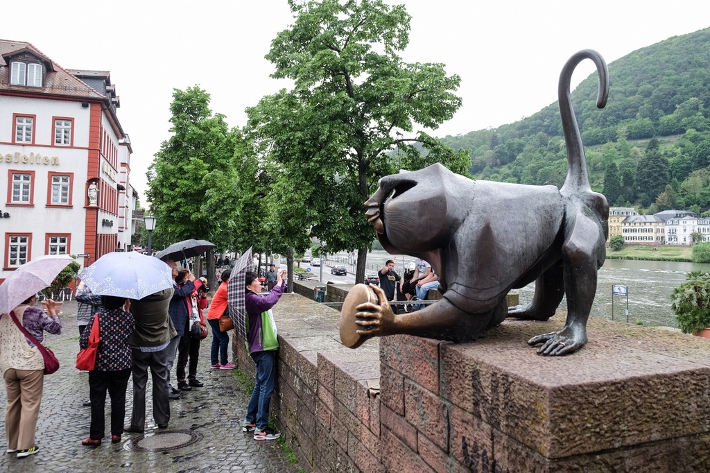 DSCF0421.jpg DSCF0421.jpg