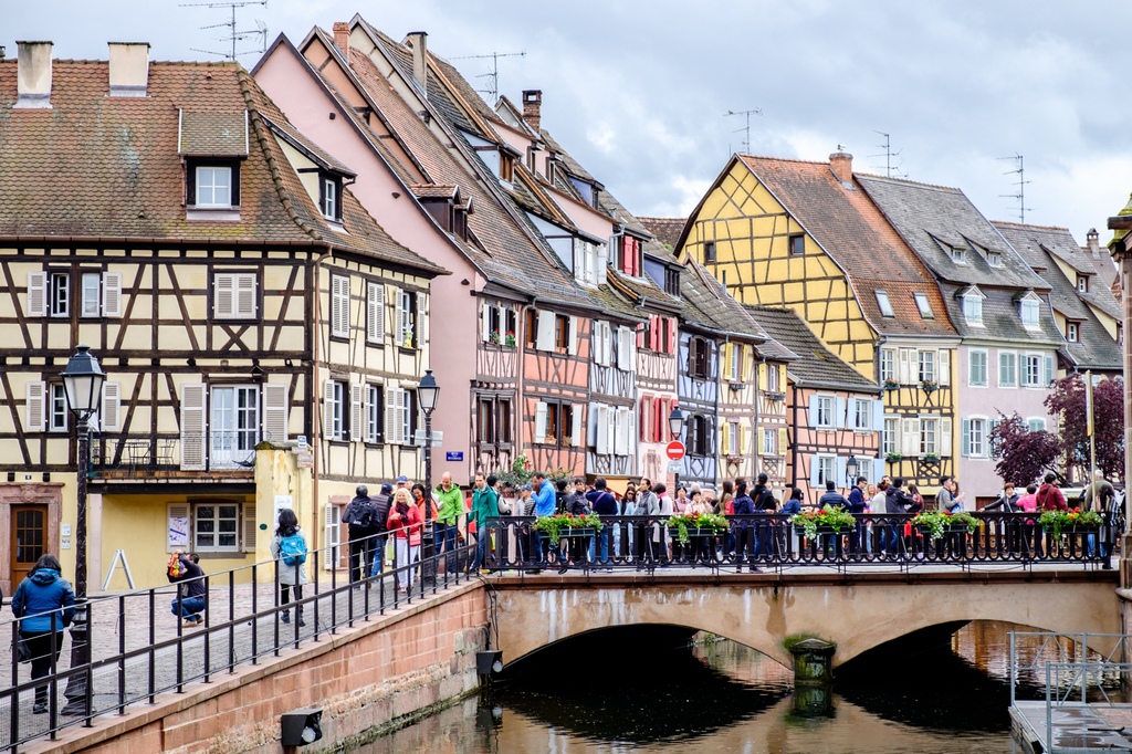 DSCF0563.jpg DSCF0563.jpg