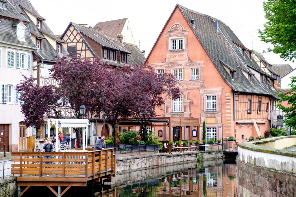 DSCF0568.jpg DSCF0568.jpg