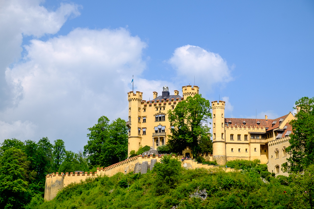 DSCF1680.jpg DSCF1680.jpg