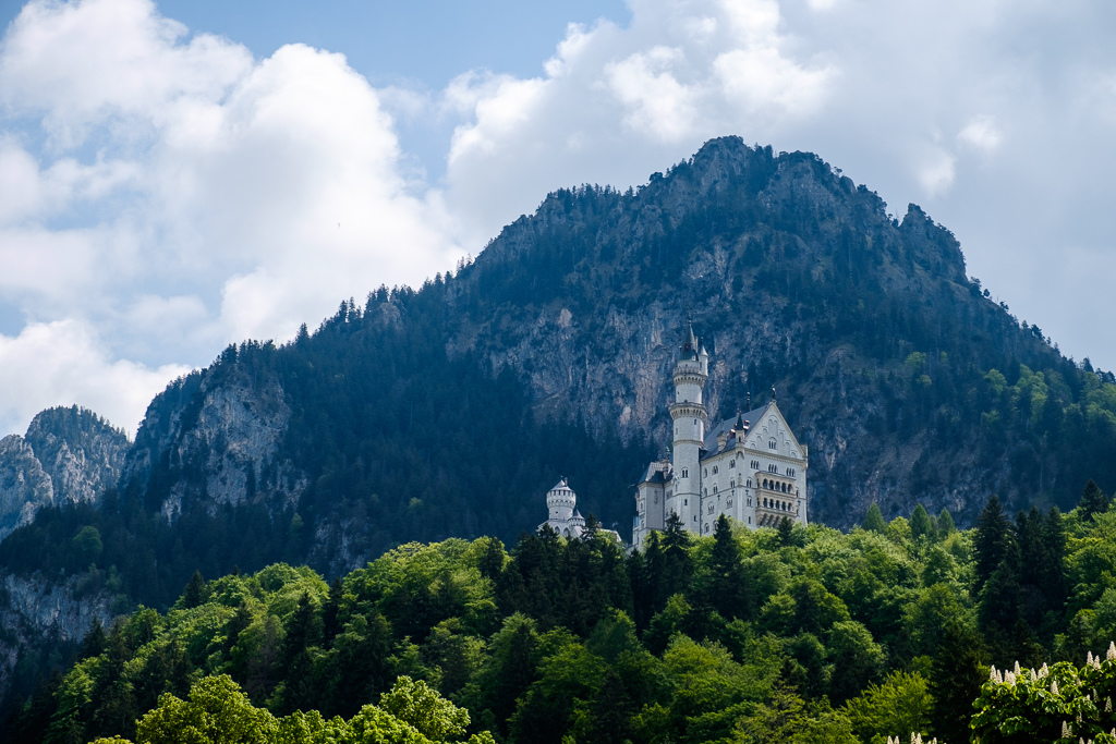 DSCF1681.jpg DSCF1681.jpg