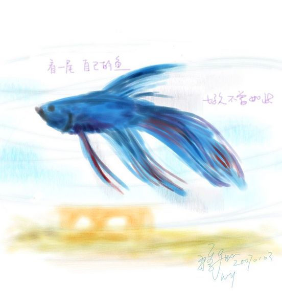 20070103-我的鬥魚.JPG