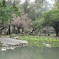 20110411-02-台中公園散步-023.JPG