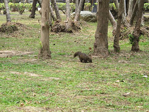 20110411-02-台中公園散步-008.JPG