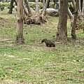 20110411-02-台中公園散步-008.JPG