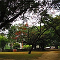 20110411-02-台中公園散步-038.JPG