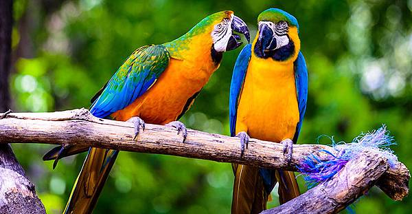 shutterstock_394290829.jpg shutterstock_394290829.jpg