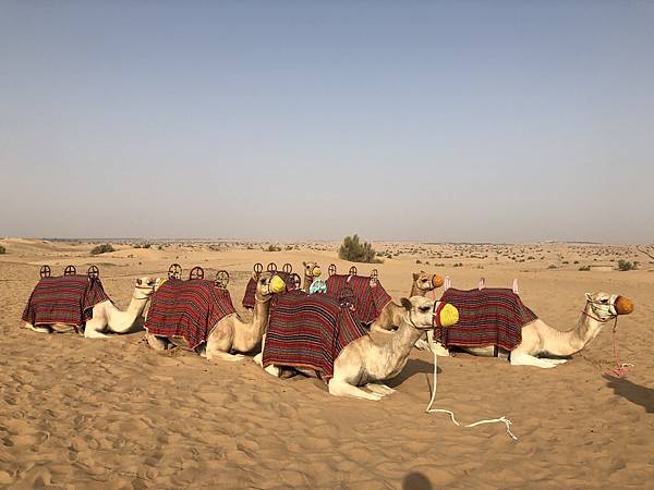 IMG_1922.jpg IMG_1922.jpg