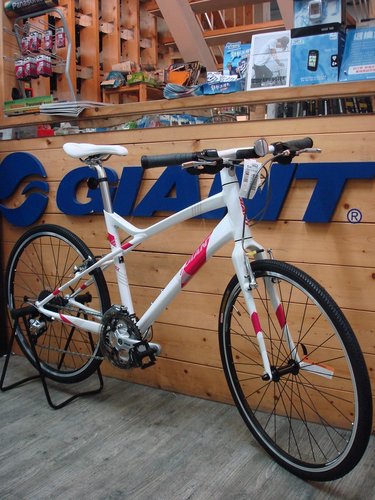 2012 捷安特arx金赞!