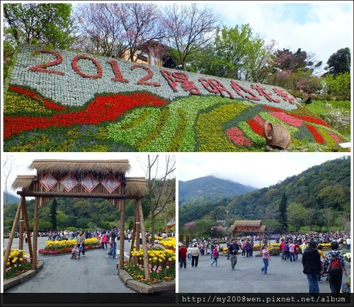 陽明山花季-2