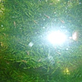 P1040660