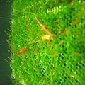 P1040698