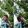 0527Cherry24.jpg