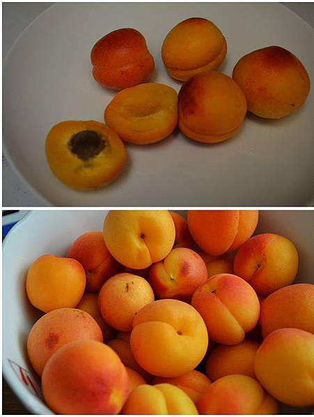 0609Apricot1.jpg