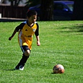 0817Soccer1.jpg