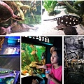 0805Aquarium10.jpg