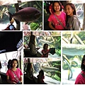 0805Aquarium12.jpg