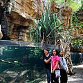 0805Aquarium15.jpg