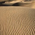 1231SandDune25.jpg