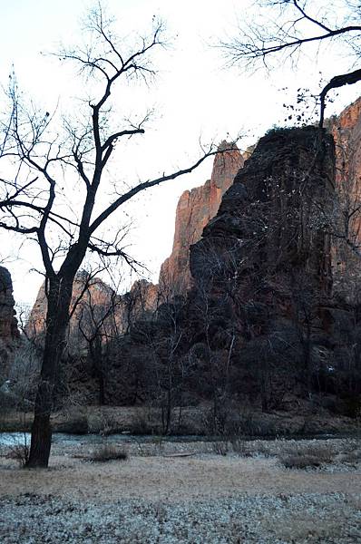 0102ZionRiverWalk43.jpg