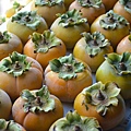 1018Persimmon6.jpg