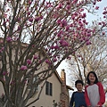 0218Magnolia1.jpg