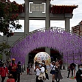 1128Beitou15.jpg