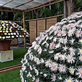 1128FlowerShow10.jpg