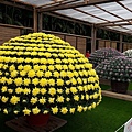 1128FlowerShow8.jpg