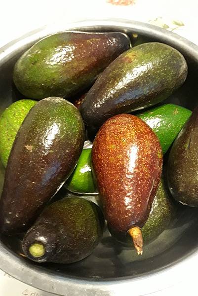 0707Avacado1.jpg