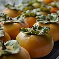 1010Persimmon1.JPG