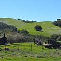 0409MorganTerritory5.JPG